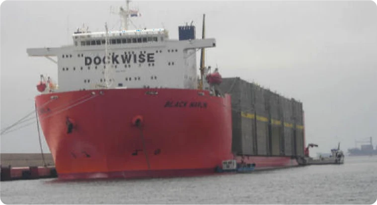 P&I Correspondent Services - Nagasa Marine Surveyors