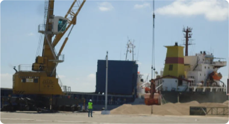 Bulk Cargo Loading - Nagasa Marine Surveyors